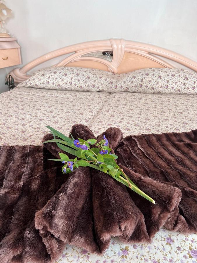 Sun-Soaked Apt W Patio, Balcony & Garden - Aguilas La Orotava Exteriör bild