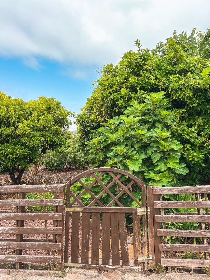 Sun-Soaked Apt W Patio, Balcony & Garden - Aguilas La Orotava Exteriör bild