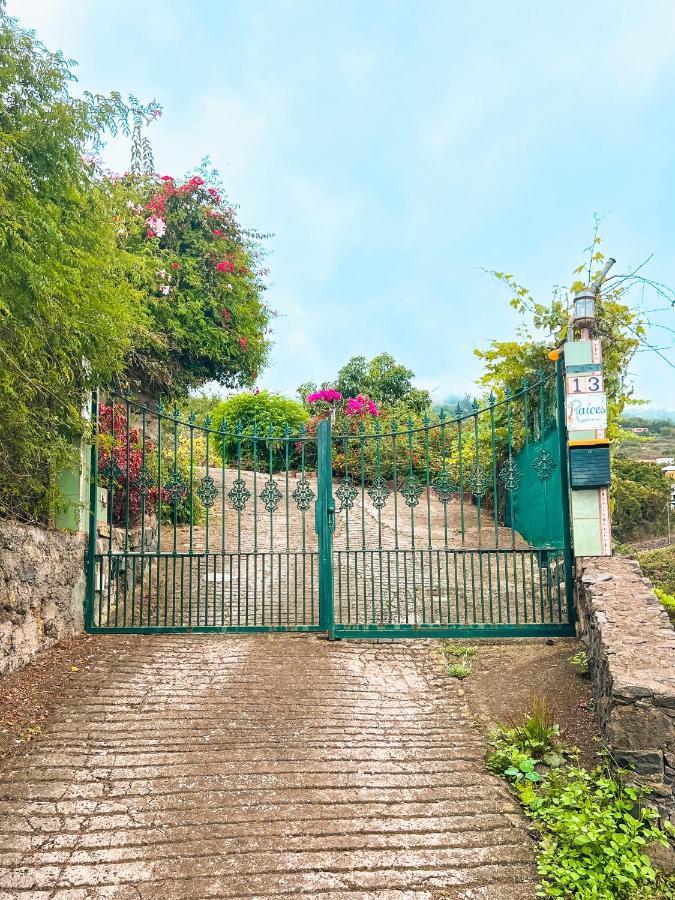 Sun-Soaked Apt W Patio, Balcony & Garden - Aguilas La Orotava Exteriör bild
