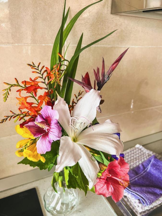 Sun-Soaked Apt W Patio, Balcony & Garden - Aguilas La Orotava Exteriör bild